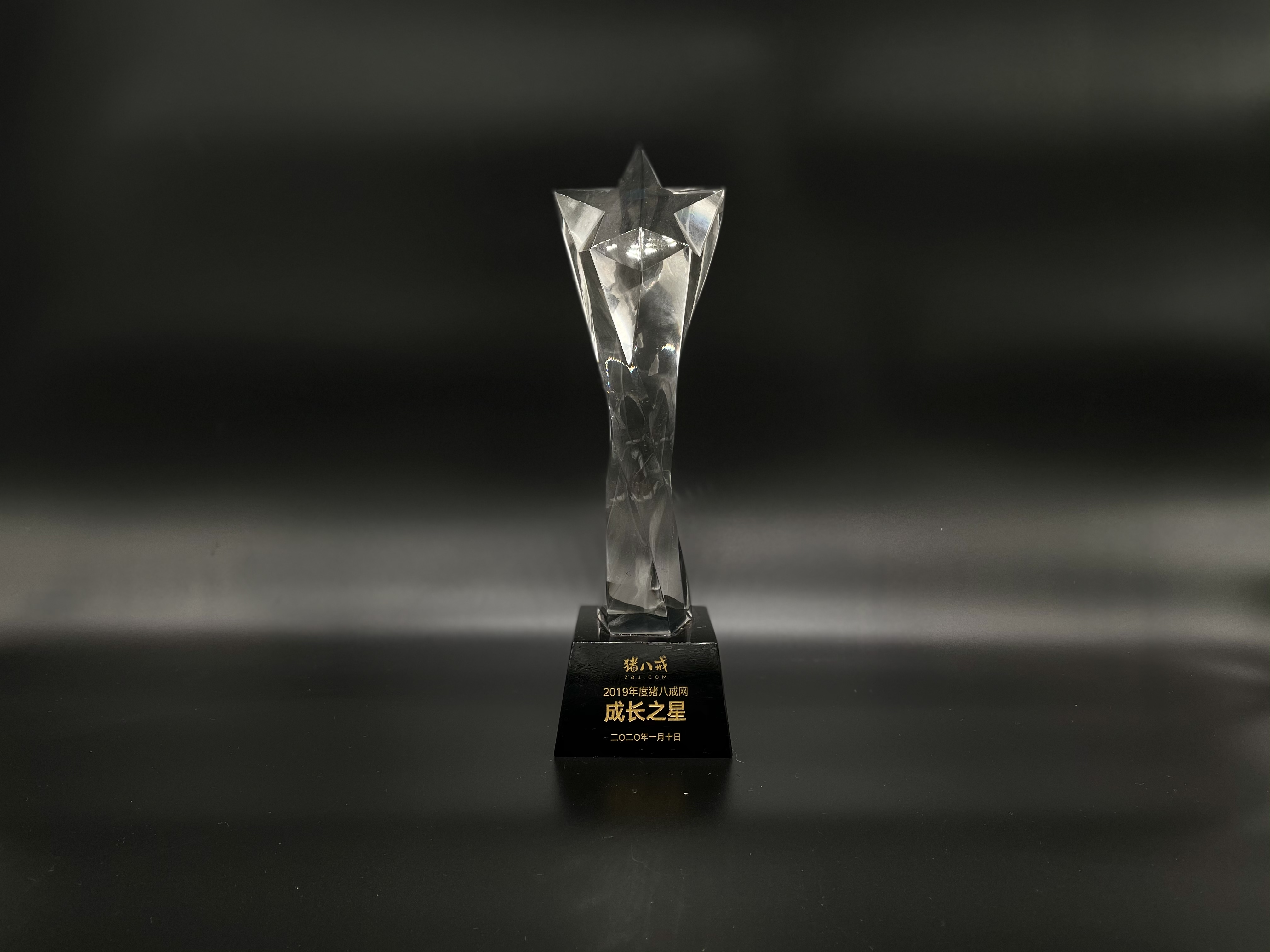 2019猪八戒网成长之星