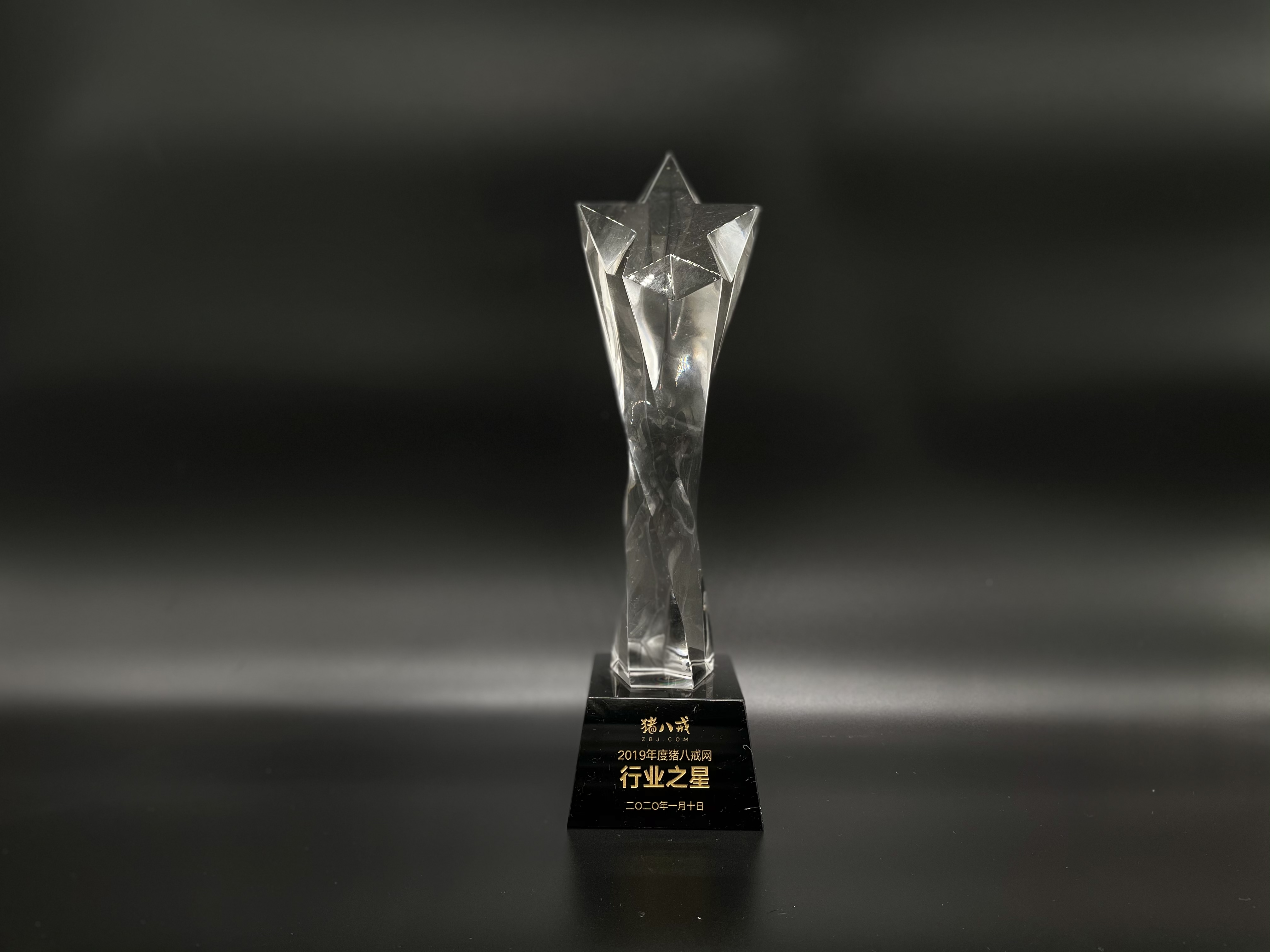 2019年度猪八戒网行业之星