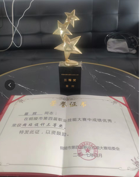 网站设计三等奖