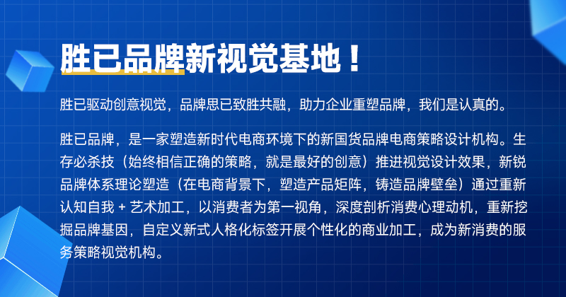 勝已電商策略設(shè)計