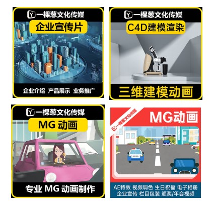四川壹顆蔥文化傳媒有限公司