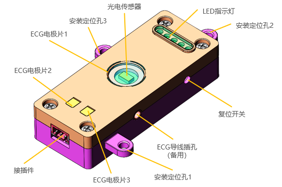 车载体征数据监测系统