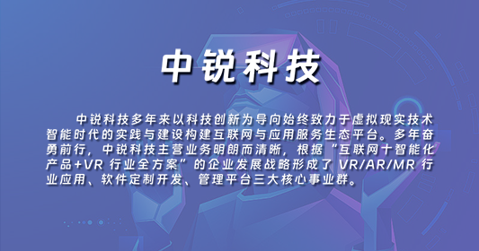 杭州中锐计算机系统有限公司