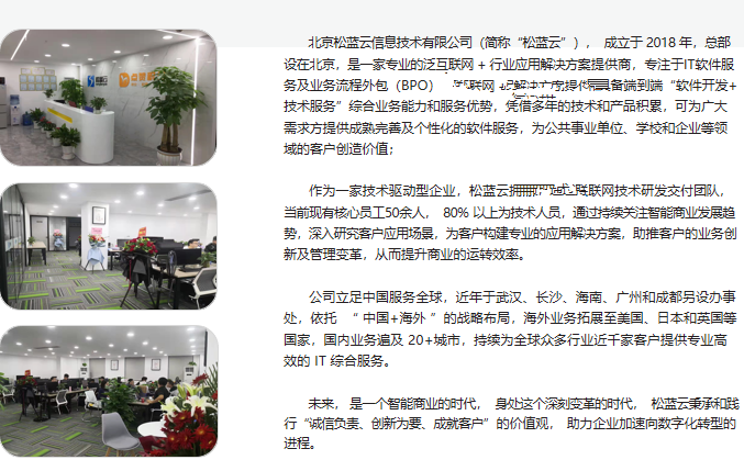 武汉松蓝云信息技术有限公司